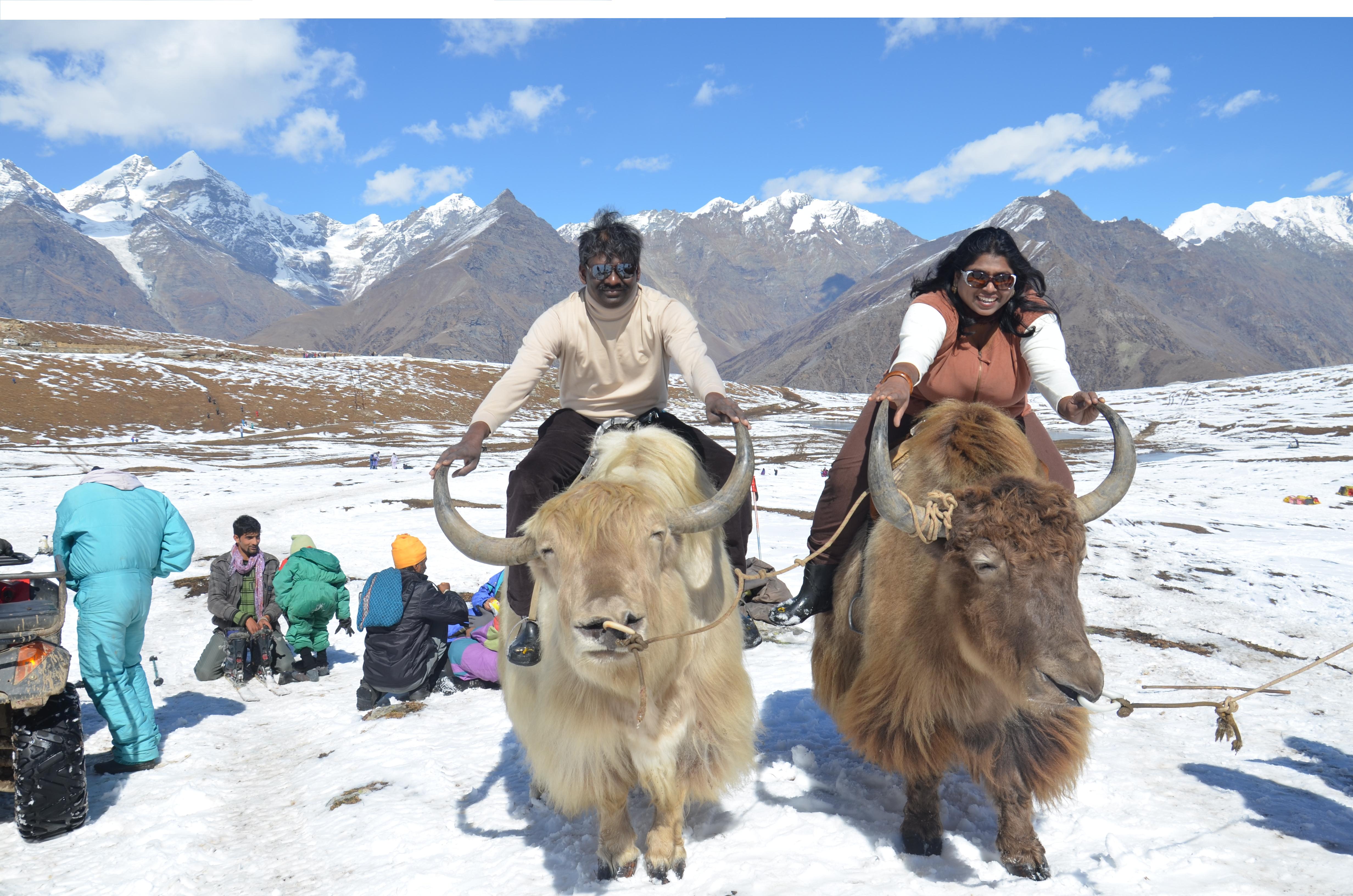 Kullu Manali Tour Package From Delhi