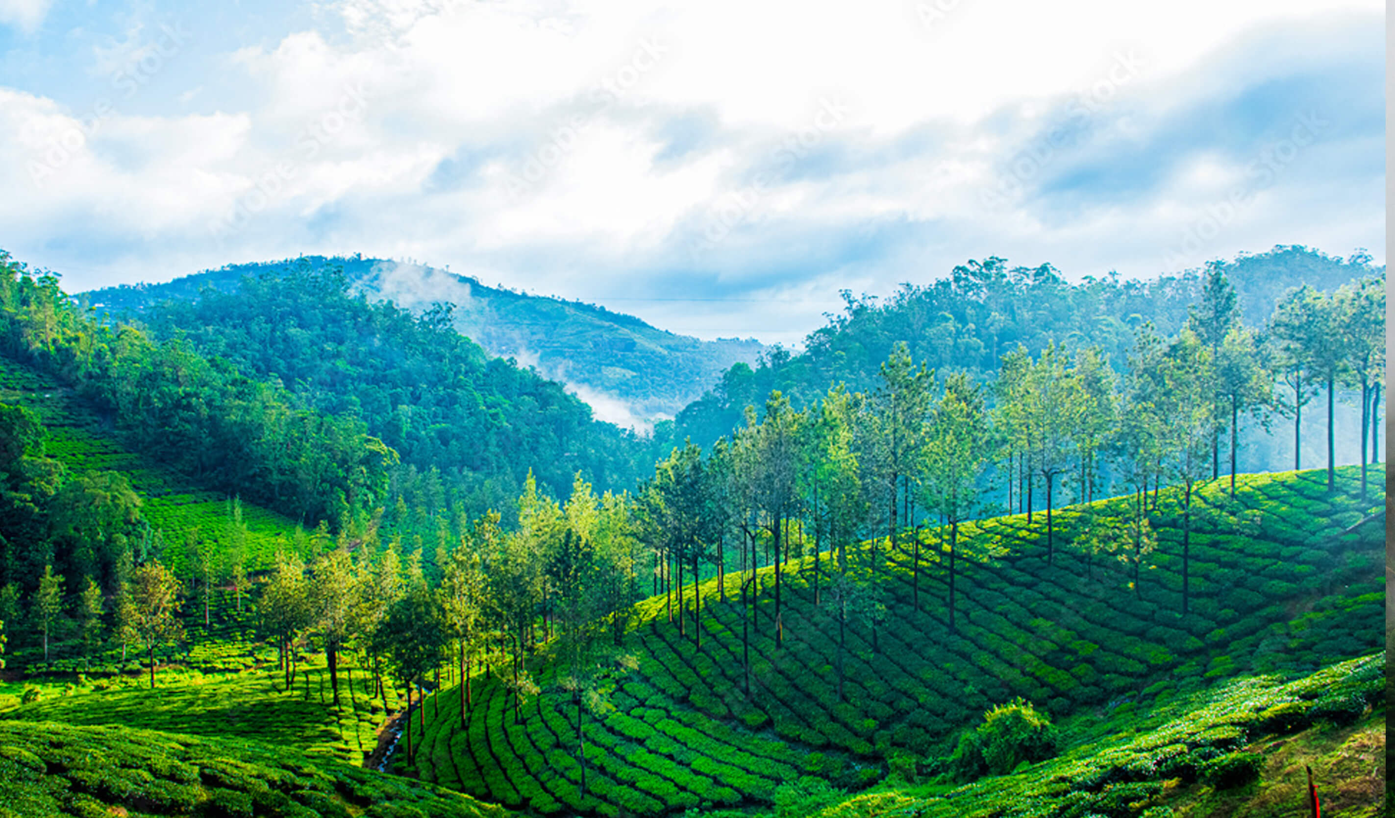 Kerala Hill Backwater & Beach Tour Package 